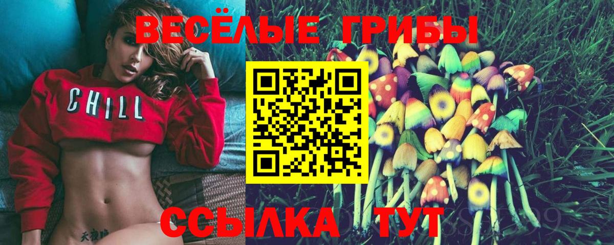 Псилоцибиновые грибы мицелий Нижнекамск