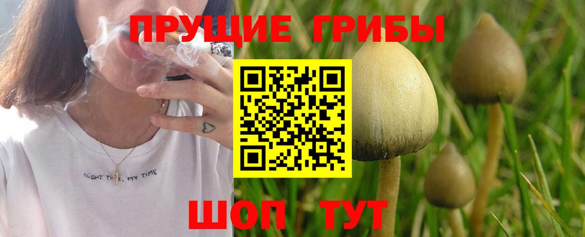 как найти закладки  Галлюциногенные грибы Cubensis  Галлюциногенные грибы мухоморы  Вход с VPN  Нижнекамск 